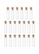 ChicAbode 20 Pcs Mini Glass Bottles with Cork Stoppers, Transparent Clear Wishing Bottles, Tiny Glass Jars Small Glass Vials, Not deformation, for DIY Art Crafts Party Decoration