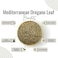 AWAFI MILL Mediterranean Oregano Leaf - Premium Quality - Aromatic Herb for Culinary Delights - Rich Flavor Enhancer - Grown in Pristine Mediterranean Region (Bottle of 50 gram / 1.7 Oz)