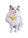 Lace Pearls Dog Cat Bandanas Dog Bib Scarf Cat Costumes Accessories for Kitty Kitten Puppy Small Dogs (Multicolor, Small)