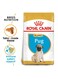 Breed Health Nutrition Pug Puppy 1.5 KG