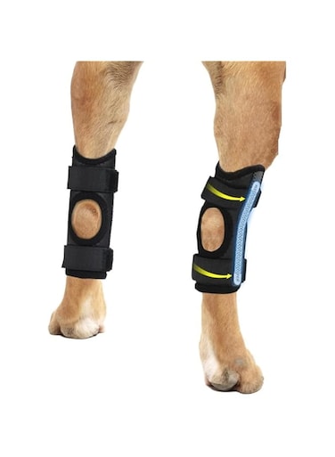 Rear Leg Hock Brace, Dog Knee Brace with Metal Strips, Hock &amp; Ankle Support Back Leg for Canine Torn, Dog Leg Sleeve for ACL &amp; CCL Injury and Sprain Protection (Black, M)