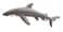 Hansa Gray Shark Plush Toy 59 cm Realistic Soft Stuffed Animal Wildlife Collectible