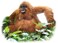 Hansa Orangutan Plush Toy 58 cm Realistic Soft Stuffed Animal Wildlife Collectible