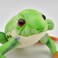Hansa Red‑Eyed Tree Frog Plush Toy 17 cm Realistic Soft Stuffed Animal Collectible Amphibian`