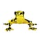 Hansa Bright False Toad Plush   Realistic Hand‑Finished Frog/Toad Soft Toy   Collectible Animal Plush