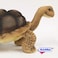 Hansa Gal&aacute;pagos Islands Turtle Plush Toy 70 cm Realistic Soft Stuffed Animal Collectible