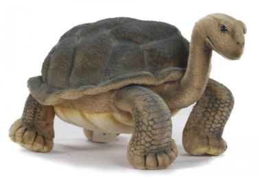 Hansa Gal&aacute;pagos Islands Turtle Plush Toy 70 cm Realistic Soft Stuffed Animal Collectible