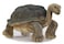Hansa Gal&aacute;pagos Islands Turtle Plush Toy 70 cm Realistic Soft Stuffed Animal Collectible