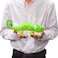 Hansa 6937 Chameleon Plush   Realistic Hand‑Finished Reptile Soft Toy   Collectible Stuffed Animal for Kids &amp; Adults