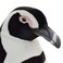 Hansa African Penguin Plush   Large 66 cm Realistic Stuffed Animal Toy   Soft Cuddly Penguin for Kids &amp; Collectors