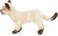 Hansa Siamese Kitten Plush 33 cm   Realistic Hand-Finished Cat Soft Toy   Cuddly Animal Plush for Kids &amp; Collectors