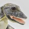 Hansa 7756 Giganotosaurus Puppet Plush   54 cm Realistic Dinosaur Soft Toy   Interactive Hand Puppet for Kids &amp; Collectors