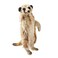Hansa Meerkat Plush Toy Realistic Soft Stuffed Animal Wildlife Collectible