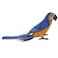 Hansa Blue and Yellow Macaw Plush   Realistic Hand‑Finished Parrot Soft Toy   Collectible and Cuddly Tropical Bird