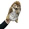 Hansa Hedgehog Hand Puppet Plush   Realistic Hedgehog Soft Toy with Hand Puppet Function   Interactive Play for Kids