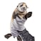 Hansa 8033 Small Seal Puppet Plush   35 cm Realistic Interactive Hand Puppet Soft Toy   Marine Animal Play