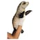 Hansa 8033 Small Seal Puppet Plush   35 cm Realistic Interactive Hand Puppet Soft Toy   Marine Animal Play