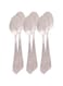Raj Rk Tea Spoon in a pack of 6 pieces, 14 cm, RK0044, Tea Spoon , Tiny Spoon , Beverage Spoon , Stir Spoon
