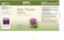 GNC Herbal Plus Milk Thistle (200mg)
