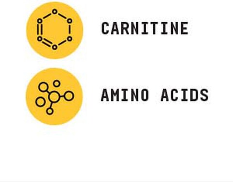 BEYOND RAW Chemistry Labs L-Carnitine Powder   Fuels Exercise and Supports Recovery   30 Servings