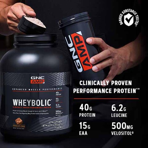 GNC AMP Wheybolic Protein Powder   Targeted Muscle Building and Workout Support Formula   Pure Whey Protein Powder Isolate with BCAA   Gluten Free   Chocolate Fudge   10 Servings