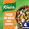 Knorr Vinegar and Garlic Salad Seasoning, 10g Pack of 4