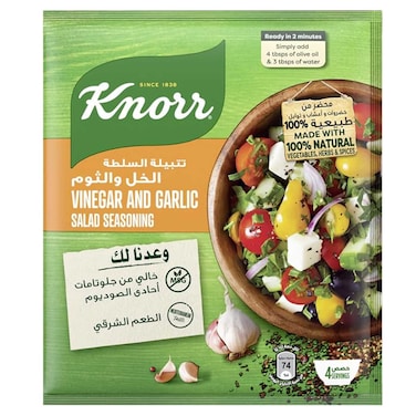 Knorr Vinegar and Garlic Salad Seasoning, 10g Pack of 4