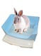 Benting Large Rabbit Potty Trainer with Removable Drawer Large Pet Litter Box for Adult Hamsters, Guinea Pigs, Ferrets, Guinea Pigs, Rabbits and Other Animals (Blue)