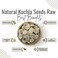 AWAFI MILL Natural Kuchla Seeds Raw - Premium Quality - Authentic Ingredient - Ideal for Traditional Uses and Crafting - Sourced from Nature (Bottle of 50 gram / 1.7 Oz)
