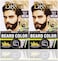 Bigen Men's Beard Color - Natural Black B101   Pack of 2   No Ammonia Formula with Aloe &amp; Olive Oil