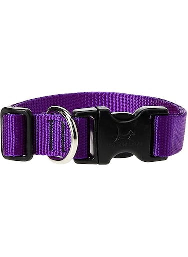 Lupine Dog Collar 16-28, Purple, 1 Inch