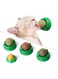 ChicAbode 4 Pcs Cat Toys, Catnip Toys Balls, Extra Cat Energy Ball, Natural Interactive Toy Edible Kitty Lick Toys, for Cats Lick Teeth Cleaning Dental Cat Ball Toy, Catnip Balls for Cats Wall, Green