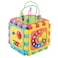 PlayGo 6-In-1 Play Cube