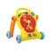 PlayGo Tiny Steps Walker With Shape Sorter Activities