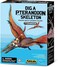 4M KidzLabs, Dig a Pteranodon Skeleton, Resurrect a Skeleton of a Dinosaur, Dig And Discover the Bones of the Skeleton, For Kids Ages 8+