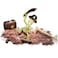 4M KidzLabs Unearth a Skeleton Kit &ndash; Dig And Assemble a Realistic Dinosaur Fossil Model, STEM Paleontology Excavation Activity for Kids Ages 5+