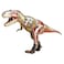 Chapmei 4D Vision Animal-Trex