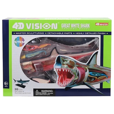 Chapmei 4D Great White Shark Anatomy