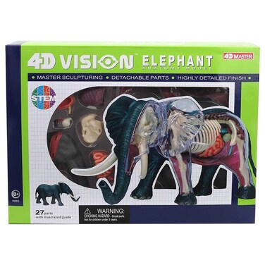 Chapmei 4D Elephant Anatomy