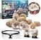 Discovery Mindblown STEM Toy Mystery Crystals Geode Excavation Science Kit 14 Pieces: Science Kit - Educational Toy - Hands-on Learning - Discovery and Exploration