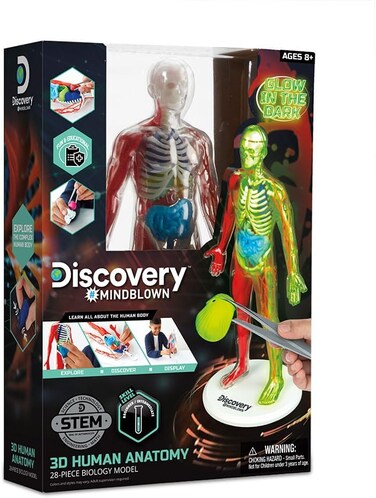 Discovery Mindblown Human Anatomy Kit Stem Toys For 8+ Years
