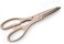 ORCHID ILC MULTIFUNCTIONAL SCISSORS