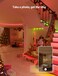 Lepro SE1 AI Smart RGB LED Strip Lights 10M, Voice &amp; App Control, Works with Alexa &amp; Google Home, Music Sync, AI Lighting Design Assistant, Colour Changing LED Light for Bedroom, 2.4G WiFi, No Remote