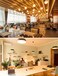 Lepro E27 LED Bulb, Warm Light 2700K 8.5W, 806lm, Equivalent to 60W Conventional Bulb, E27 LED Warm Bulb, Energy Saving, Fat Cap Pack of 3
