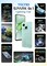 TECNO SPARK Go 1 KL 4 64GB ROM &amp; 3GB RAM-MAGIC SKIN GREEN