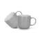 Fissman 2-Piece Mugs Firmina Gray 350ml New Bone China