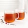 Fissman 2-Piece Cups 300ml Borosilicate Glass