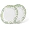 Fissman 2-Piece Plates Summer Glint 26cm (Fine Bone China)