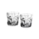 Fissman 2-Piece Whiskey Glasses 260ml Glass