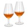 Fissman 2-Piece Cognac Glasses 390 ml Glass